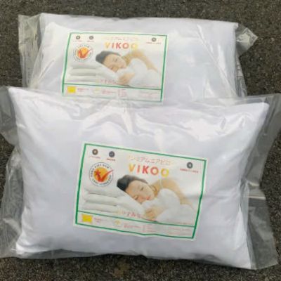 Ruột Gối Hơi Đông Tư Cao Cấp Size 40 x 60cm, 50 x 70cm